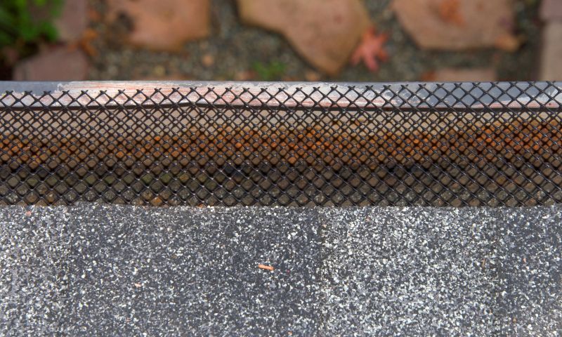 Gutter Mesh Installation in San Francisco, CA