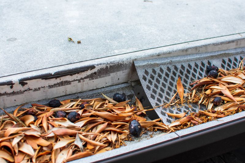 Gutter Mesh Installation in Snohomish County, WA