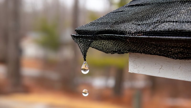 Gutter Mesh Installation in Mcdonough, GA