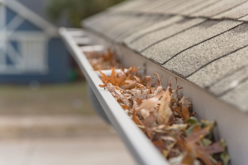 Leaf Barrier Installation in San Francisco, CA