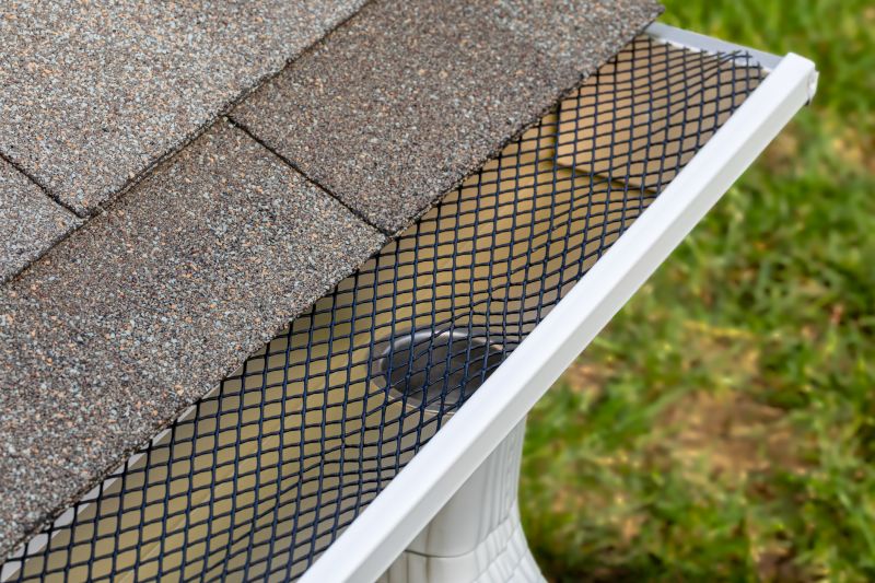 Gutter Mesh Installation in San Francisco, CA